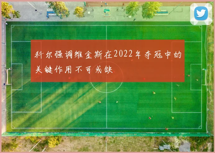 科尔强调维金斯在2022年夺冠中的关键作用不可或缺