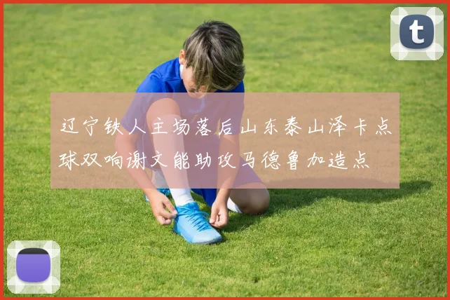 辽宁铁人主场落后山东泰山泽卡点球双响谢文能助攻马德鲁加造点
