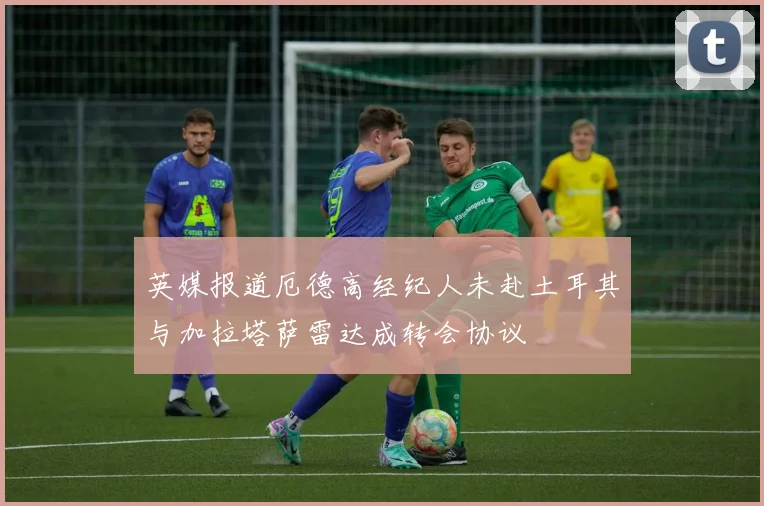 英媒报道厄德高经纪人未赴土耳其与加拉塔萨雷达成转会协议